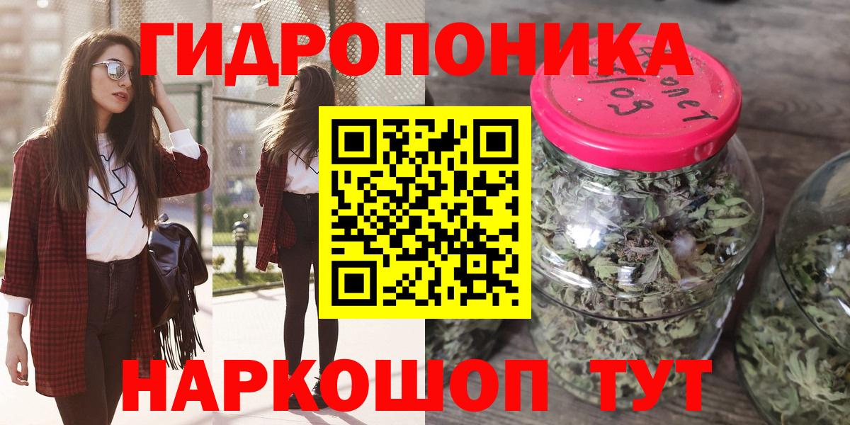 Канабис конопля Калуга